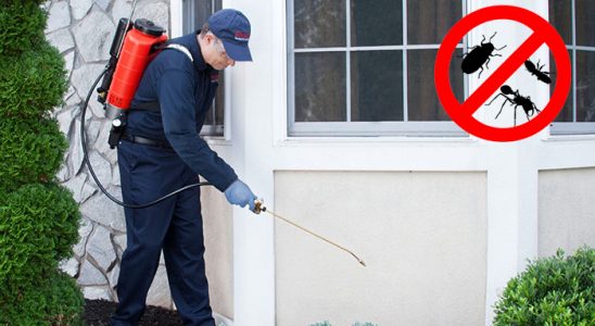 Zonguldak Uçan Haşere İlaçlama böcek ilaçlama ve haşere kontrolü — ilaclama-tr.com